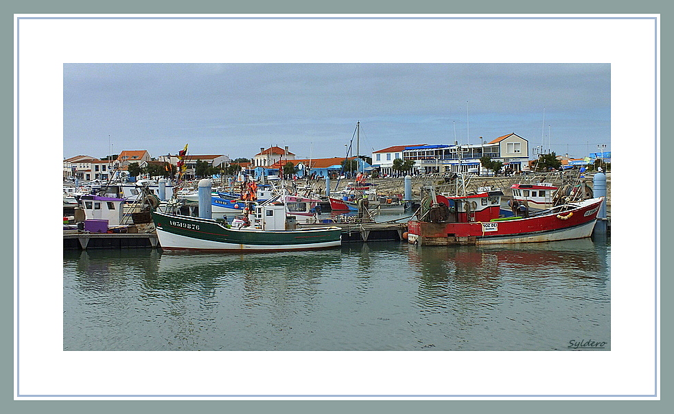 Port de la Cotinière