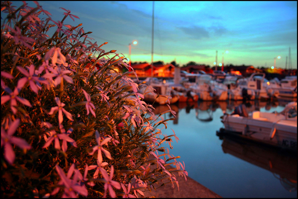 Port de la hume un soir d'été