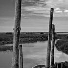 Port de la mole à Gujan Mestras