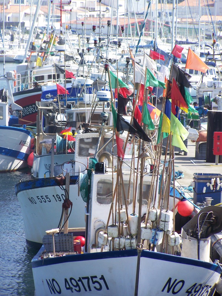 Port de L'Herbaudière (ile de Noirmoutier)