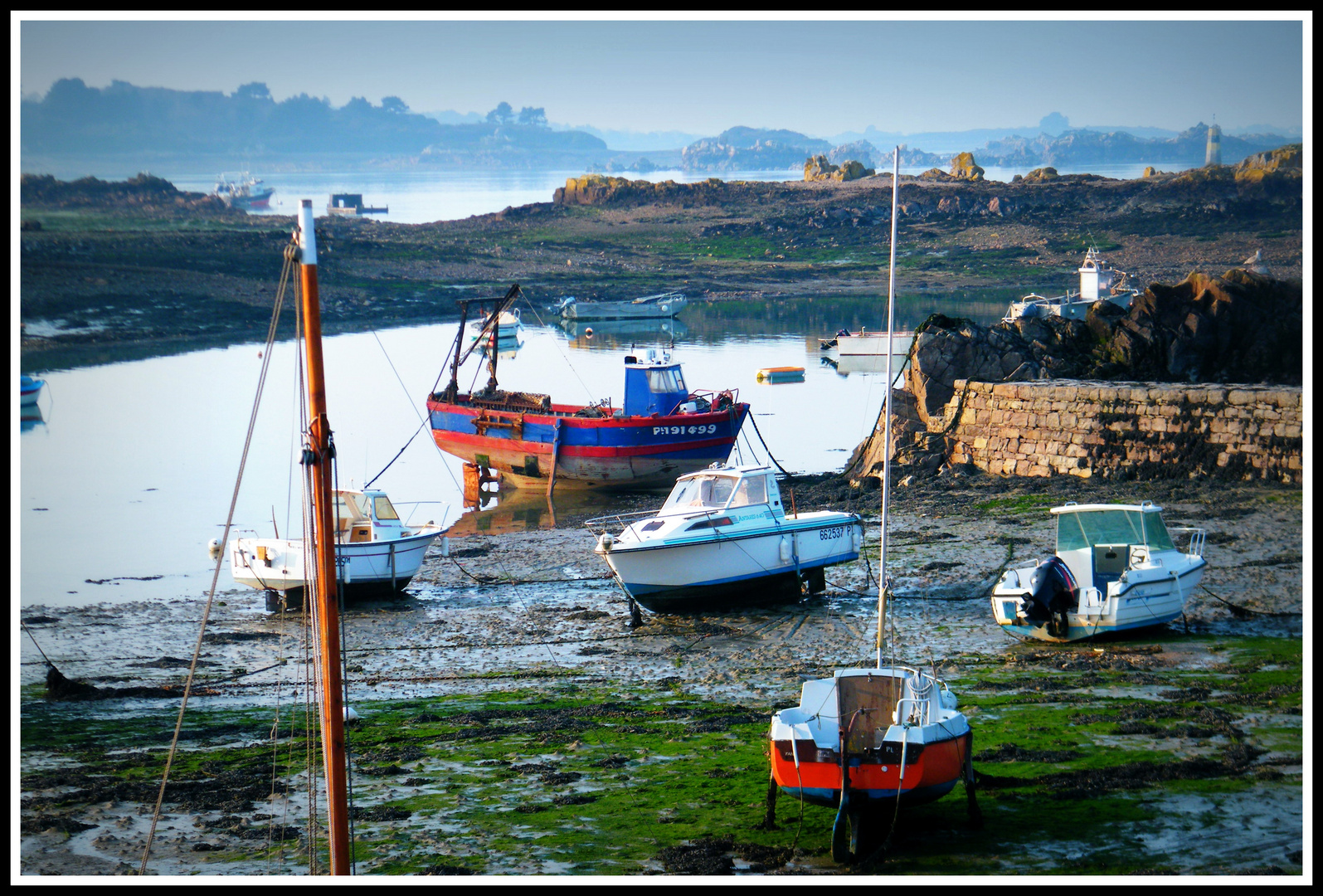 Port de Loguivy à marée basse ..