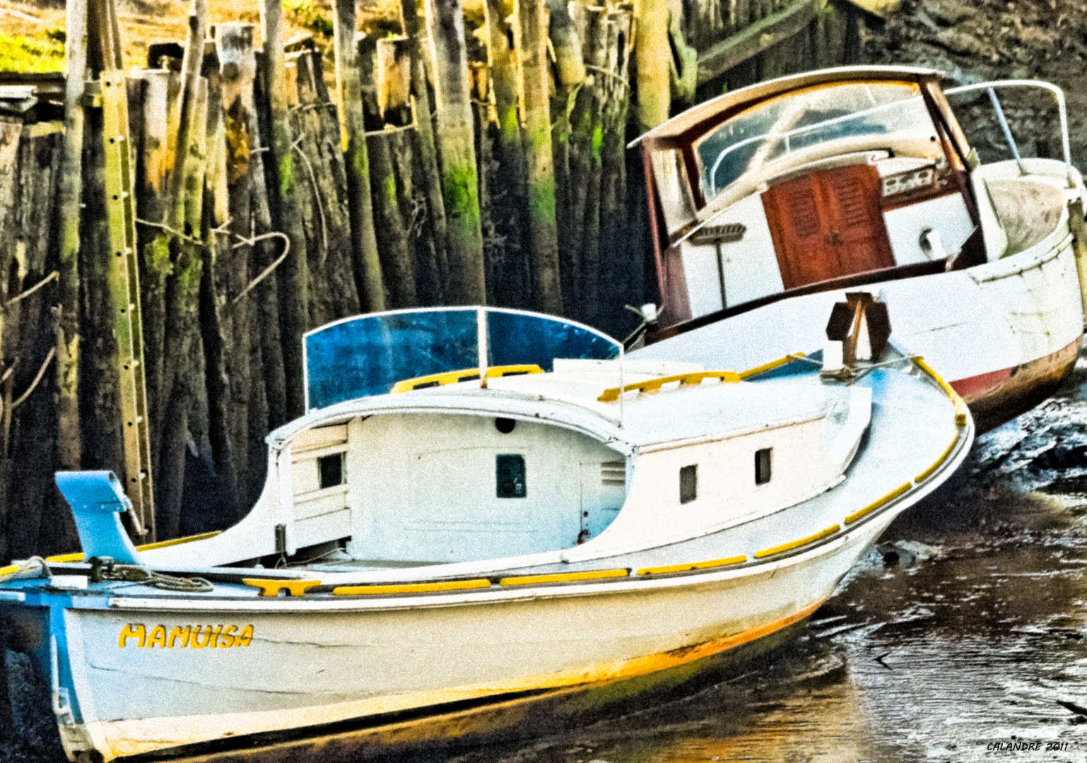 Port de Meyran Est - Gujan Mestras (33)