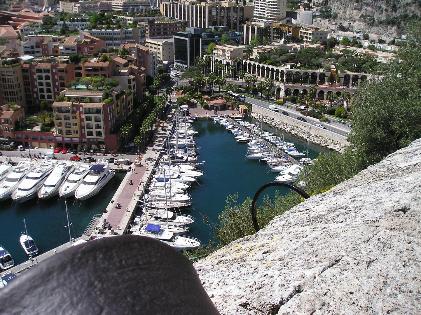 Port de Monaco vue du château