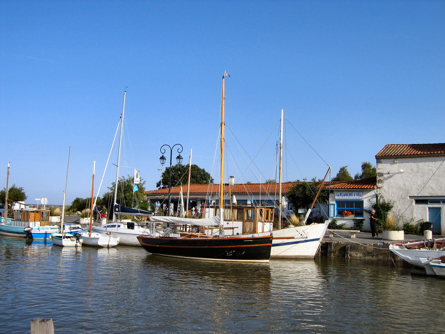 port de Mornac sur seudre