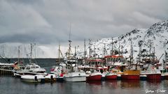 Port de pêche près du Cap Nord