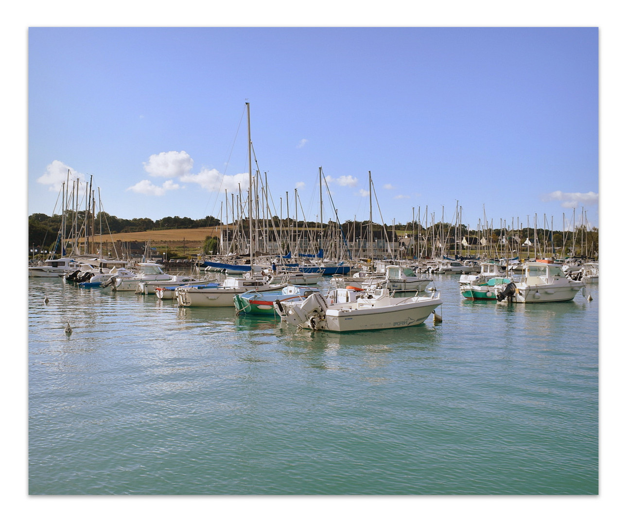 port de plaisance photo et image paysages, mers et océans, nature