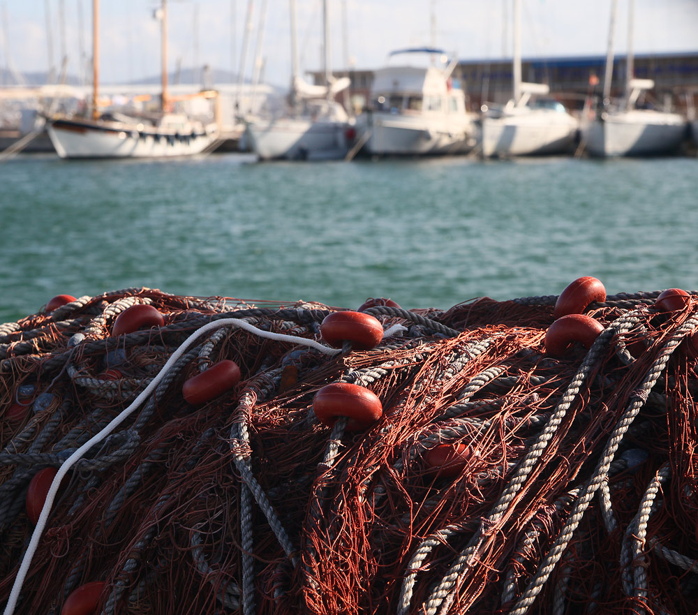 Port de Pollenca