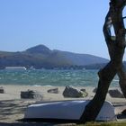 Port de Pollensa - Mallorca