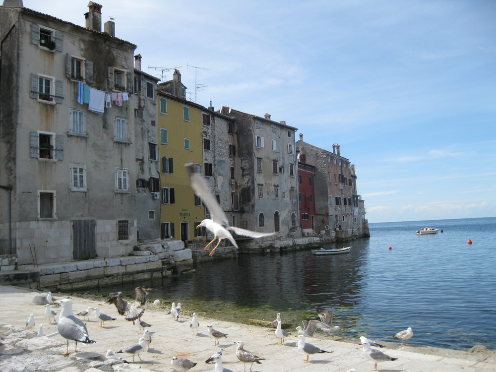 Port de Rovigno