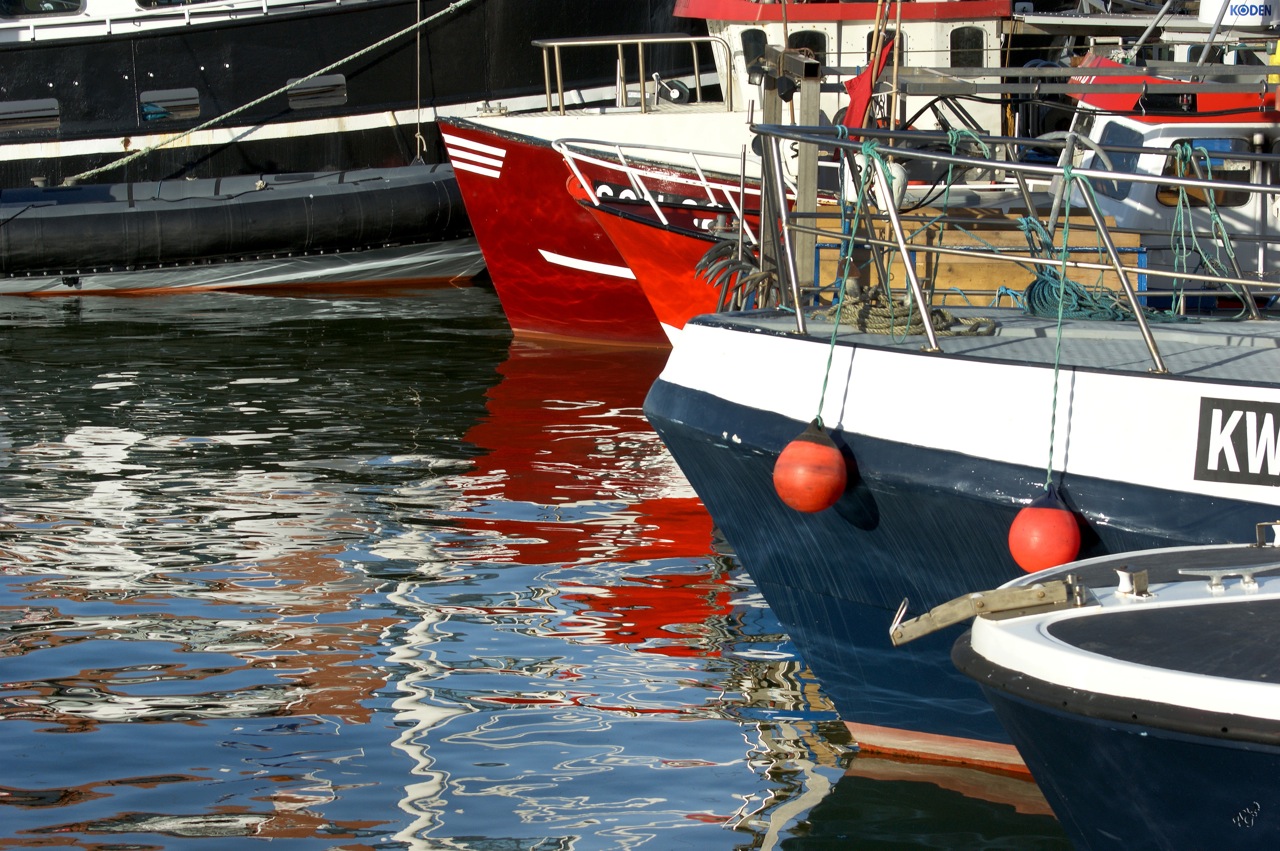 Port de Scheveningen - LA HAYE