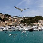 Port de Sóller