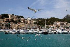 Port de Sóller