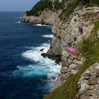 Port de Sóller IV