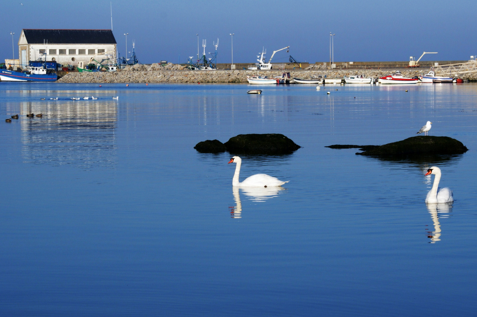 port de st guénolée