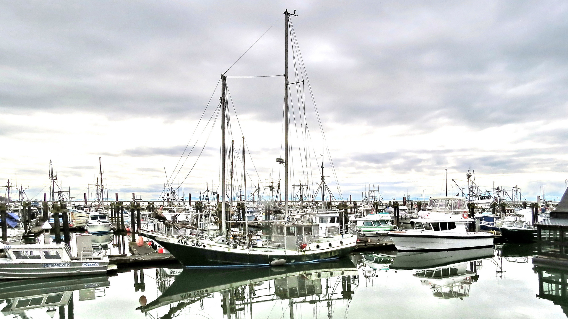 Port de Steveston 