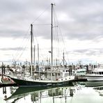 Port de Steveston 