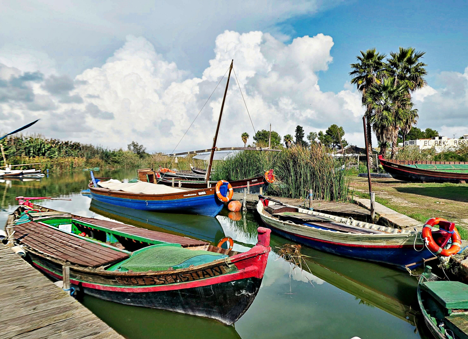 Port des barques dans l'Albufera