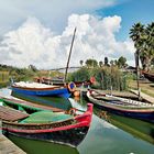 Port des barques dans l'Albufera