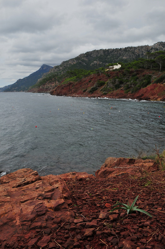 Port des Canonge II