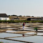 Port des Salines auf der Insel Ile d` Oleron