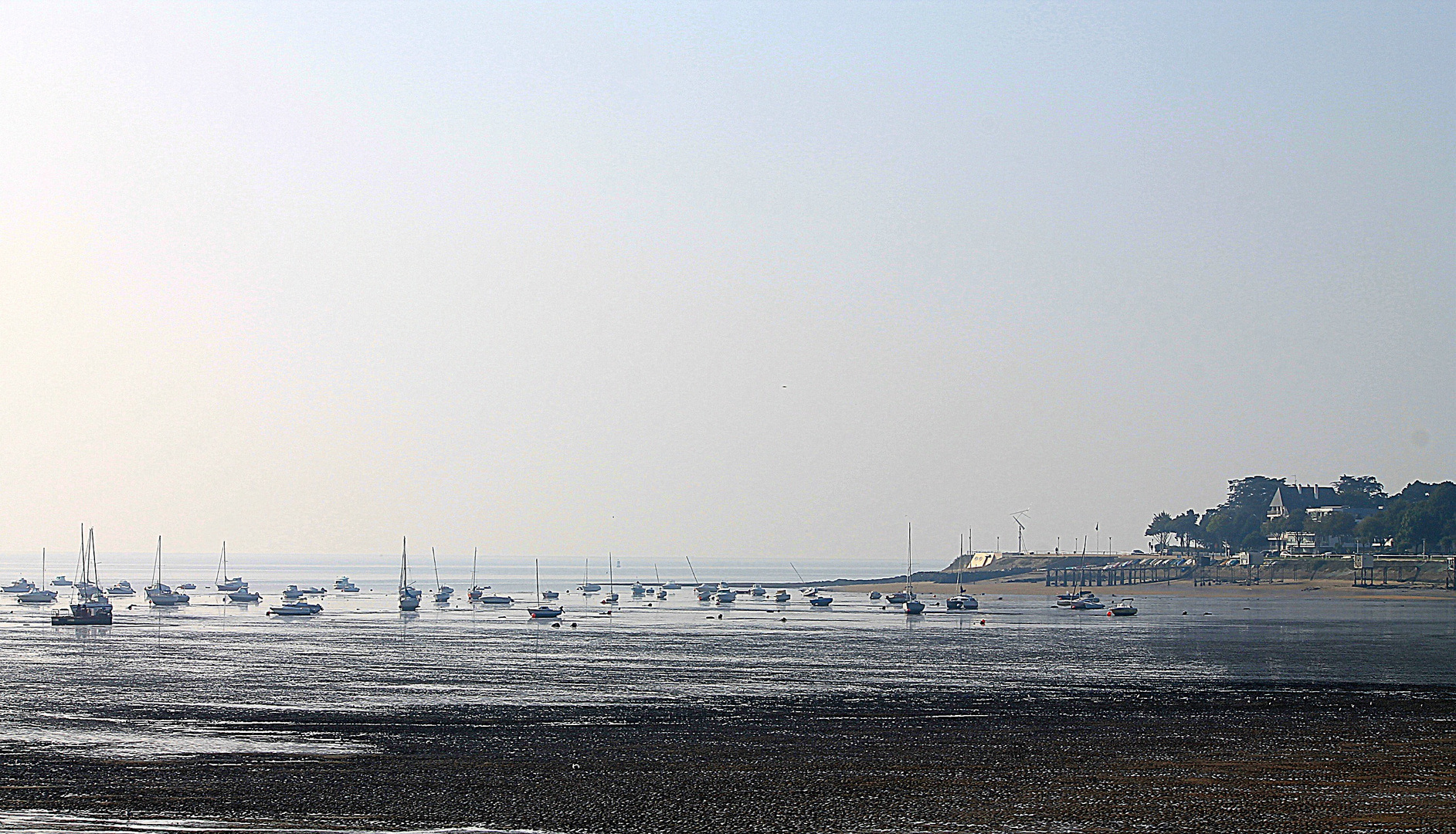 Port Désiré a marée basse