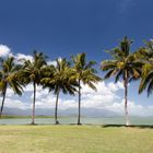 Port Douglas_3