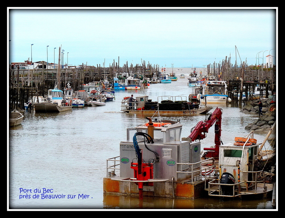 PORT DU BEC ( ou Port Chinois )