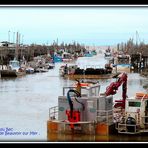 PORT DU BEC ( ou Port Chinois )