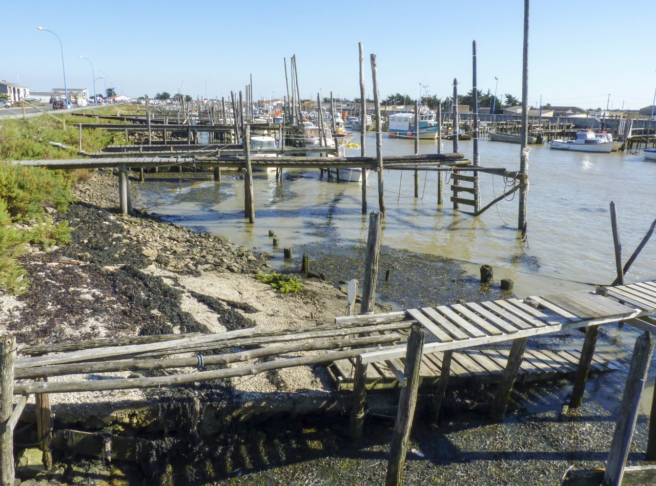 Port du Brochet 2 (L.A ou Vendée)