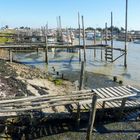 Port du Brochet 2 (L.A ou Vendée)