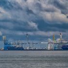 Port du Havre 01