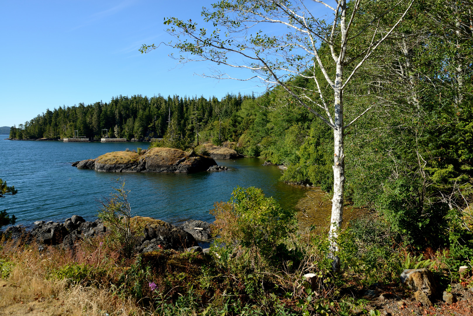 Port Hardy, schöne Aussicht