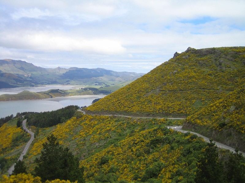 Port Hills - Christchurch