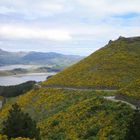 Port Hills - Christchurch