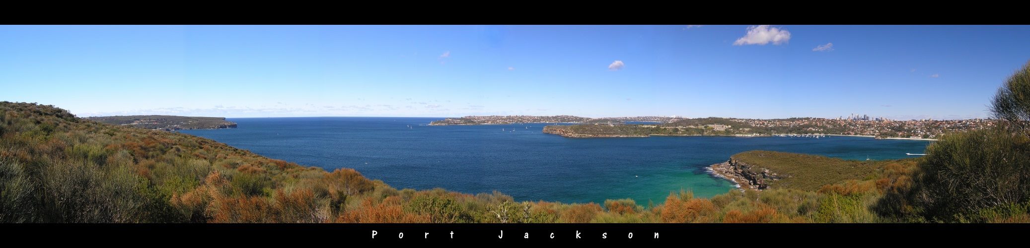 Port Jackson