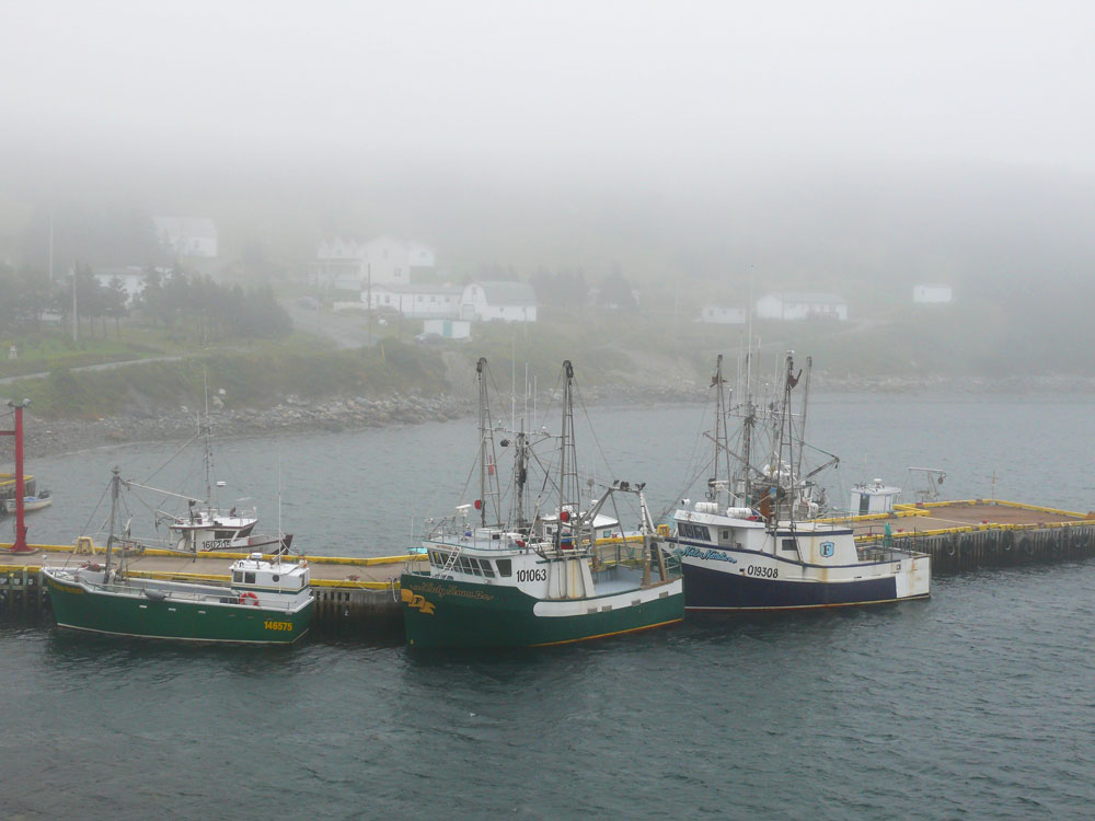 Port Kirwan im Nebel