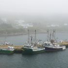Port Kirwan im Nebel