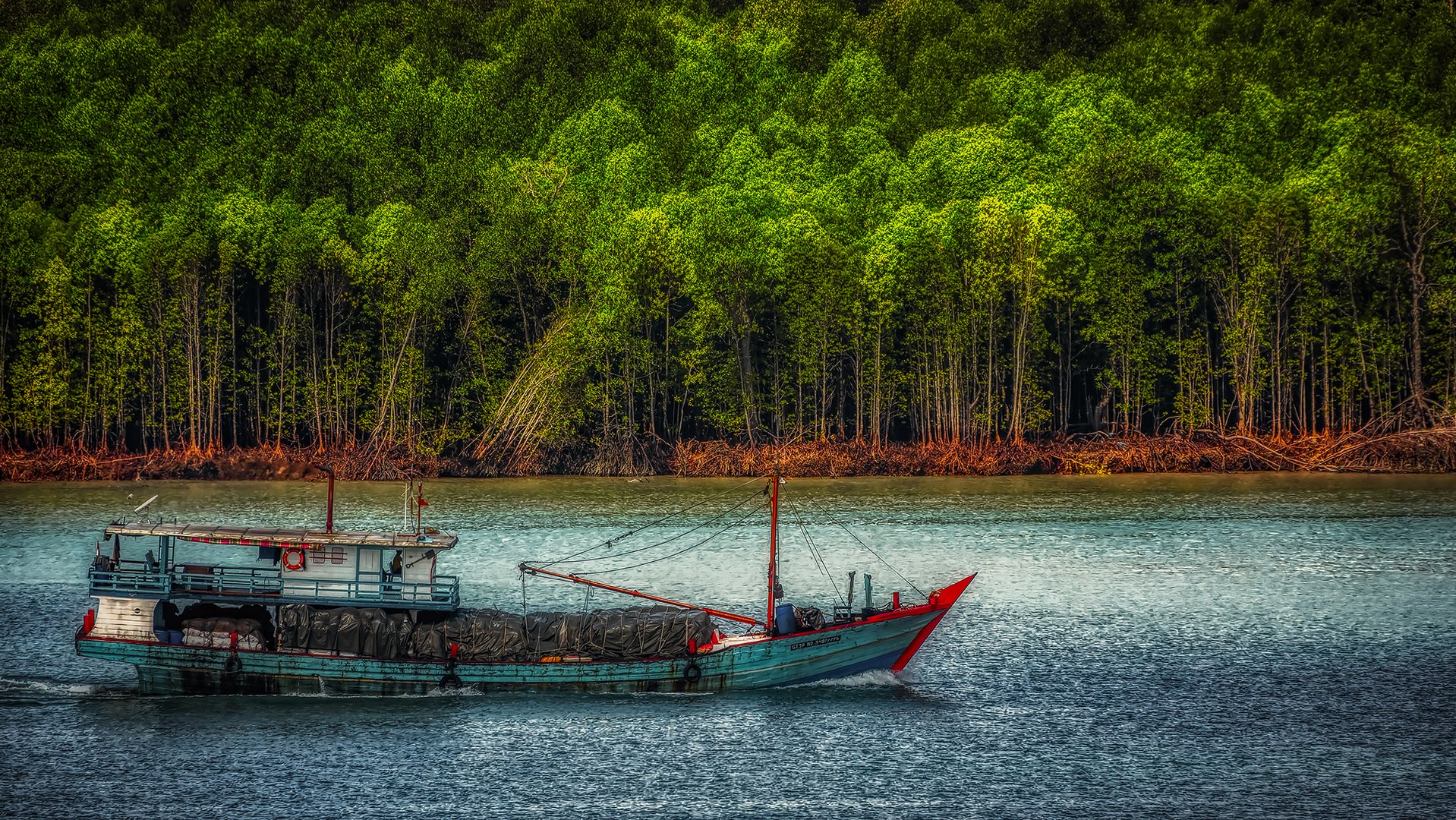 Port Klang, Kuala Lumpur, Malaysia (IV)