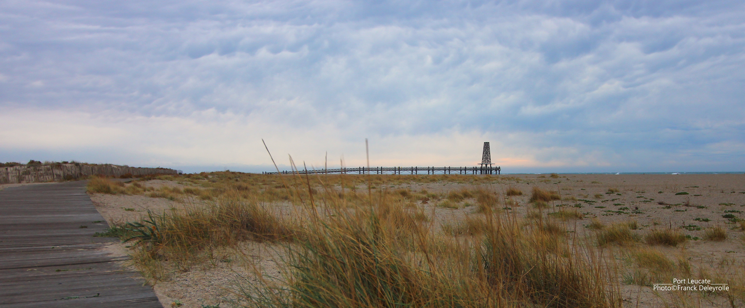 Port Leucate 