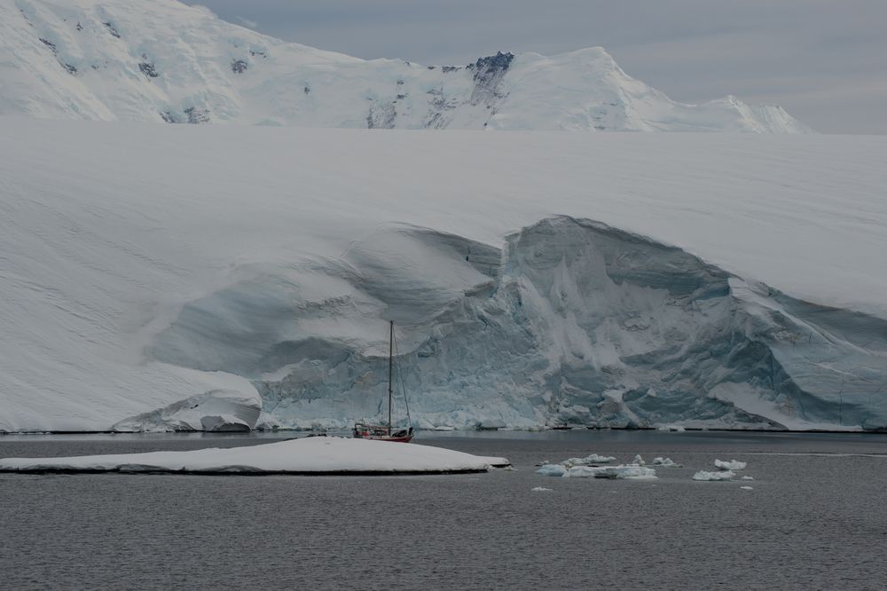 Port Lockroy,  Antarktis   DSC_0653