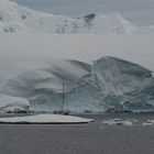 Port Lockroy,  Antarktis   DSC_0653