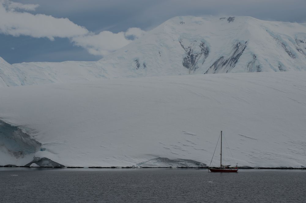 Port Lockroy  DSC_0659