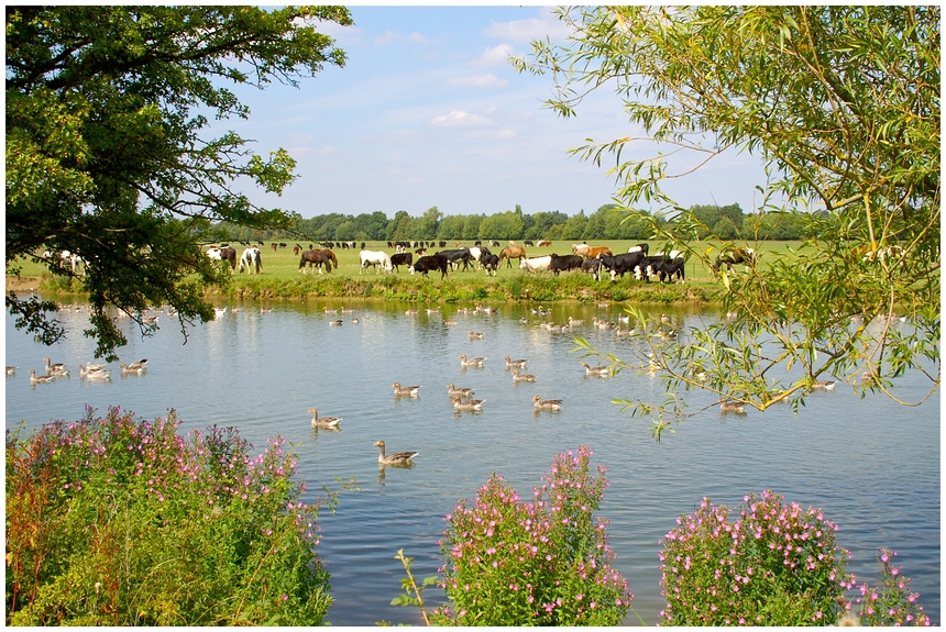 Port Meadow