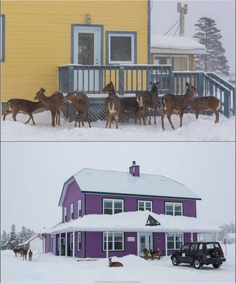 Port-Menier, île Anticosti, le 3 décembre dernier.