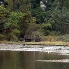 Port Moody Beach