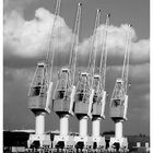 port of antwerp