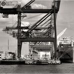 Port of Baltimore No.5 - Container Ship at Seagirt Marine Terminal