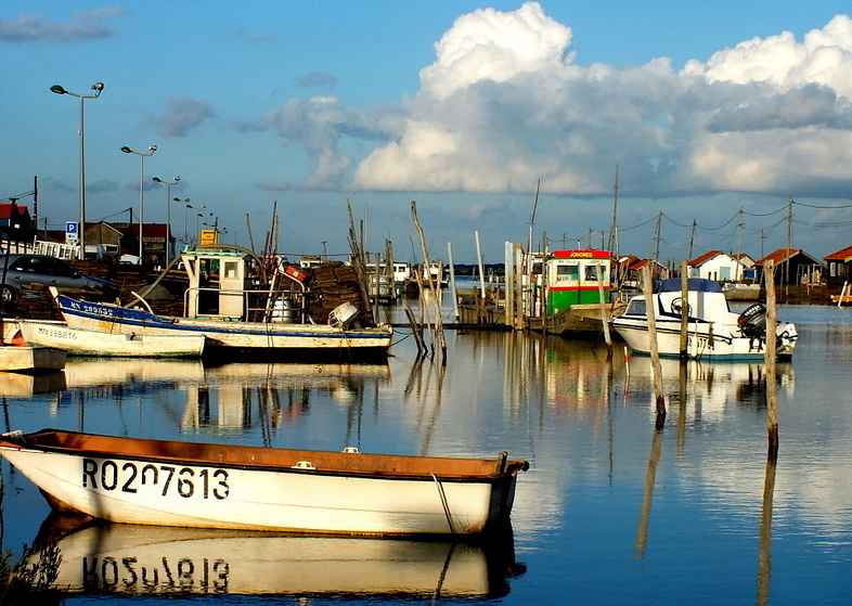 Port ostréicole