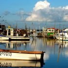 Port ostréicole