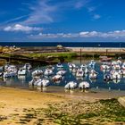 Port, Pointe de Trévignon, Bretagne, France